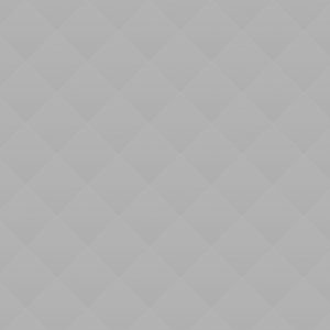 Crispy Panini Crispy Panini